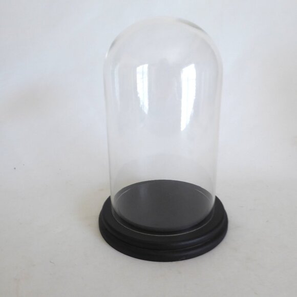 NEW 9” DECORATIVE GLASS CLOCHE DISPLAY DOME COVER BLACK WOOD BASE - Picture 1 of 5